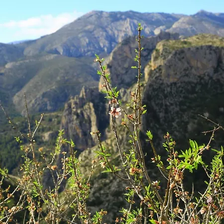 Casa Rural Cavall Verd