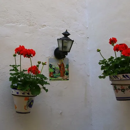 Panzió Casa Rural Cavall Verd